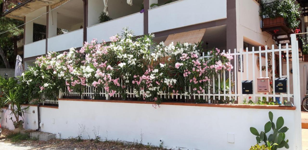 Casa Perciata - Locazione Turistica Apartment มอนเดลโล ภายนอก รูปภาพ
