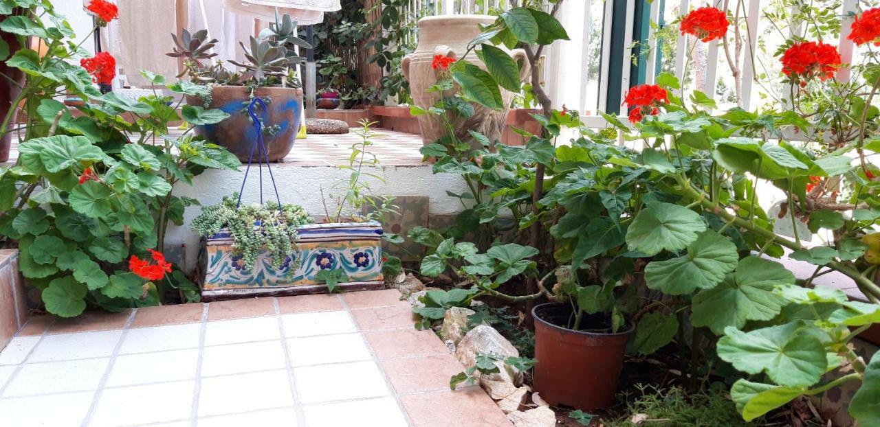 Casa Perciata - Locazione Turistica Apartment มอนเดลโล ภายนอก รูปภาพ